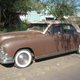 Illustration for article titled Ancient Arizona Kaisers Have Never Experienced Rust, Believe Life Is Eternal